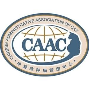 中爱纯种猫管发中心头像