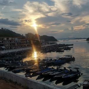 野生布朗尼范巴斯滕说体育头像