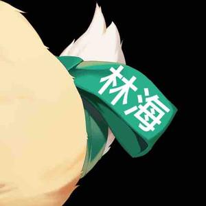 林海说散热头像