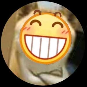 式善鸭头像