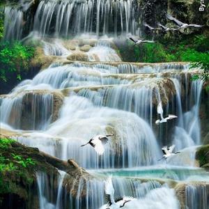 上善若水ttxw头像