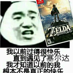 海拉鲁老流氓彡林克头像