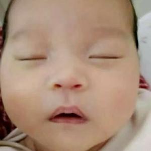 子晨啊噜头像