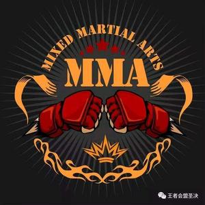 武林格斗MMA头像