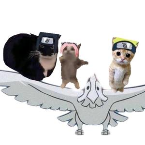 香蕉猫汉堡头像