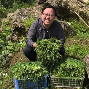 泳哥的田园生活头像