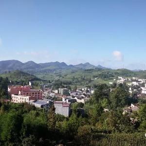 李提摩太梓头像