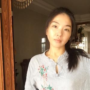 优雅风筝dPR头像