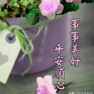 天涯浪子头像