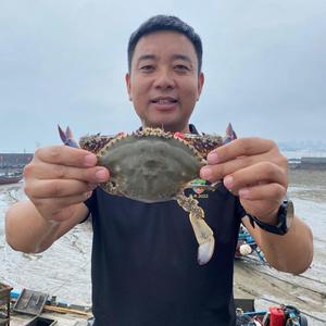 杰哥赶海头像