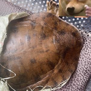 渔您同享湘茳甲天下头像