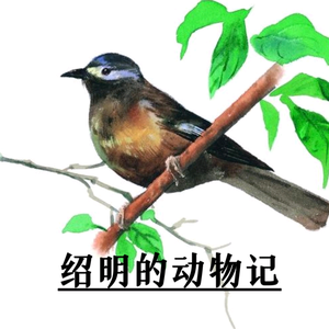 绍明的动物记头像