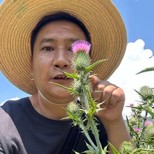 野菜哥头像