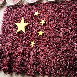 酸辣妹儿哇头像