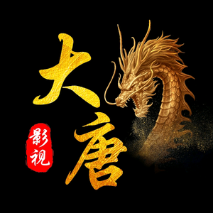 大唐影視头像