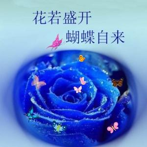 六六顺Vcity头像