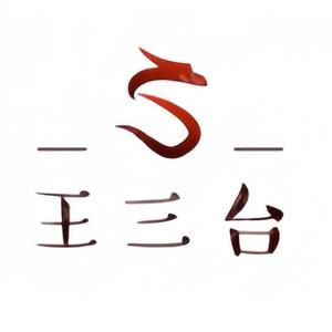 王三台头像