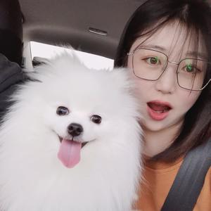 萱萱的装修日记头像