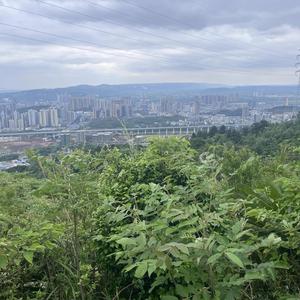 山里阳光头像