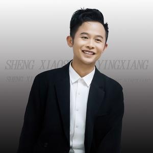 盛小盛影像头像