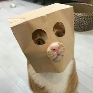 路人未头像