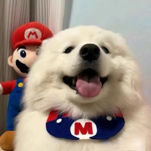 秋庆头像