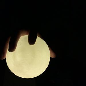 世界阵线联盟头像