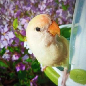 小角度解读头像