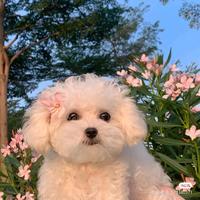 那些经典的片段w头像