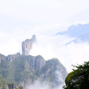 杰中杰5A3f头像