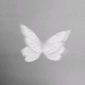 𝓼𝓽𝓻𝓪𝔀𝓫𝓮𝓻𝓻𝔂头像