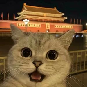 阿秋！头像