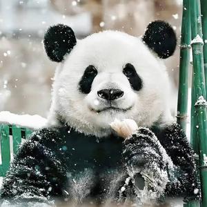 果果头像