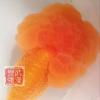 誉强玩金鱼头像