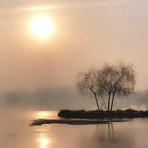 浮萍落音头像