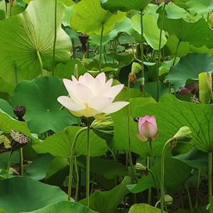 书剑天涯头像