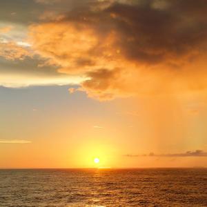 旅行者老海狗 头像