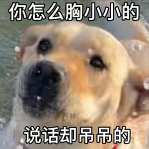 哦豁游戏分享头像