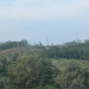 小小果冻3j5O头像