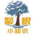 聚根小知识头像
