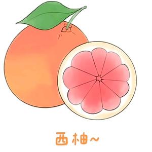 hh西柚影视头像