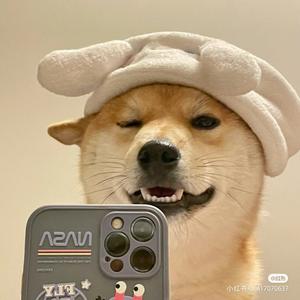 头聪明中的大聪明头像