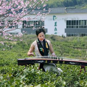 茗鼎名茶头像