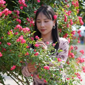 花花（7月12生日珠宝玉石专场）头像