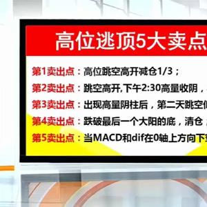 青岛炒家头像