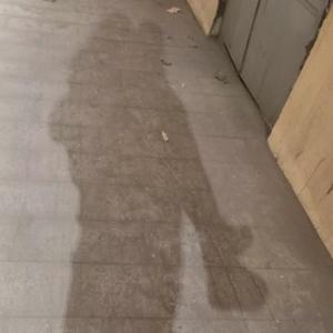 心语心愿头像