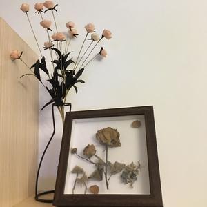 莹董港剧剪辑的个人主页 西瓜视频