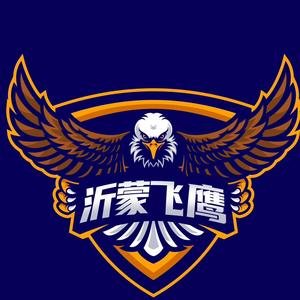 沂蒙飞鹰（航拍）头像