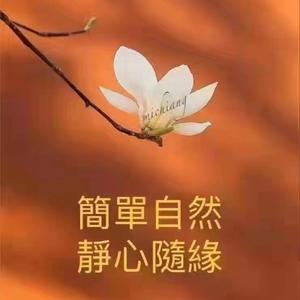 一树进口果苗场头像