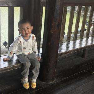 迟缓娃摘帽的心酸史头像